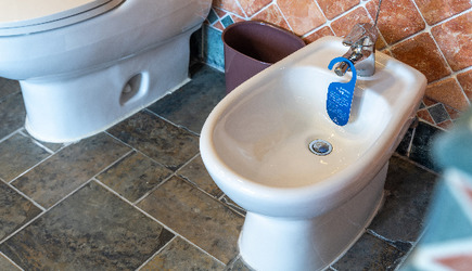 免治馬桶始祖-下身盆(Bidet)