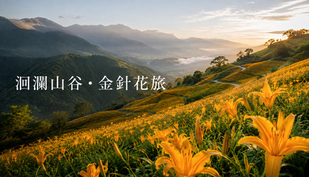 洄瀾山谷・金針花旅